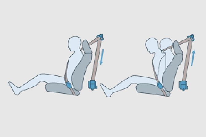 Cinturones de Seguridad de 3 Puntos